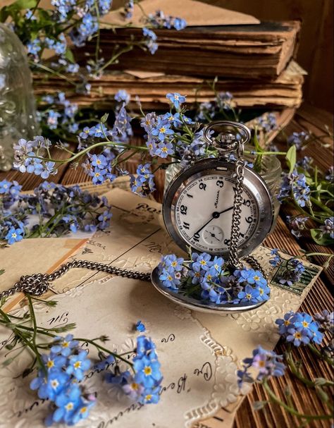 Forget Me Nots Flowers, Plant Study, Not Aesthetic, Home Comfort, Nothing But Flowers, Collage Background, Clock Art, Flower Therapy, Language Of Flowers