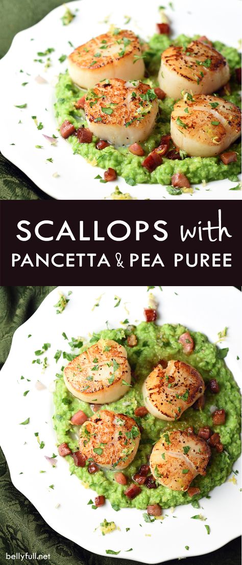 Pan-seared scallops sit on top of rich pea puree, topped with crispy pancetta and Gremolata. A super easy dish, but tastes amazing and looks so elegant! Scallop And Pea Puree, Scallop Puree Recipe, Scallop Pea Puree, Scallops And Pea Puree, Scallops And Peas, Onion Puree Recipe, Scallops With Pancetta, Scallops Pea Puree, Scallops With Pea Puree