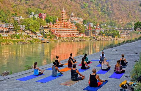 8 Reasons why you need to undergo yoga teacher training in India 1 Meditation Teacher Training, Become A Yoga Instructor, Rishikesh Yoga, Training Certificate, 200 Hour Yoga Teacher Training, Types Of Meditation, Yoga School, Learn Yoga, Yoga Alliance