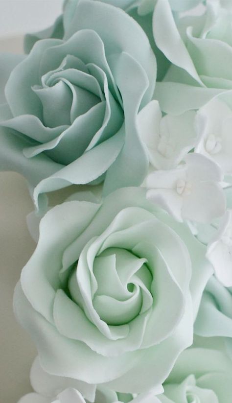 Verde Salvia Aesthetic, Sea Foam Blue Aesthetic, Ipad Astethic, Light Green Flowers, Green Wallpaper Phone, Mint Tone, Mint Aesthetic, Mint Green Flowers, Pale Mint Green