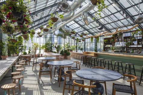 Restaurant Visit: Roy Choi's Commissary, Inside a Greenhouse in LA Greenhouse Restaurant, Roy Choi, Greenhouse Cafe, Deck Pergola, Bar Deco, Small Greenhouse, Greenhouse Plans, Ace Hotel, Diy Greenhouse