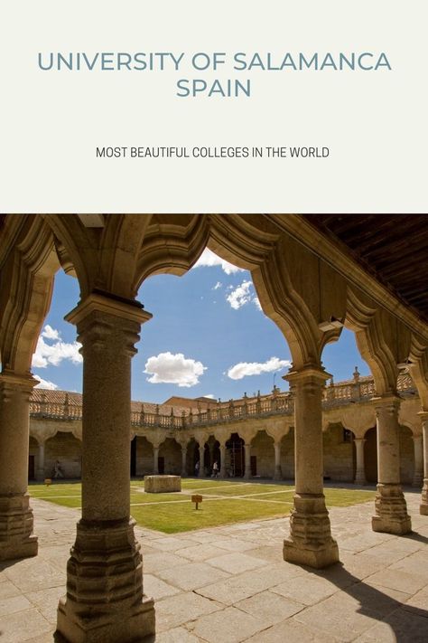 Most beautiful universities in the world. Most Beautiful Libraries, Beautiful Libraries, Salamanca Spain, La Mans, Beautiful Library, Baroque Architecture, Salamanca, Pergola, Vision Board