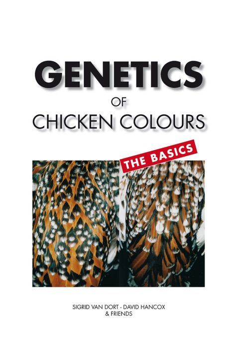 Chicken Genetics, Honeysuckle House, Chicken Breeding, Chicken Coloring, Chicka Chicka, Gene Expression, Chicken Breeds, Boom Boom, Genetic