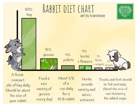 Rabbit Diet Chart, Veggies For Rabbits, Rabbit Pellets, Rabbit Information, Rabbit Diet, Bunny Things, Spring Bunnies, Bunny Garden, Pet Rabbits