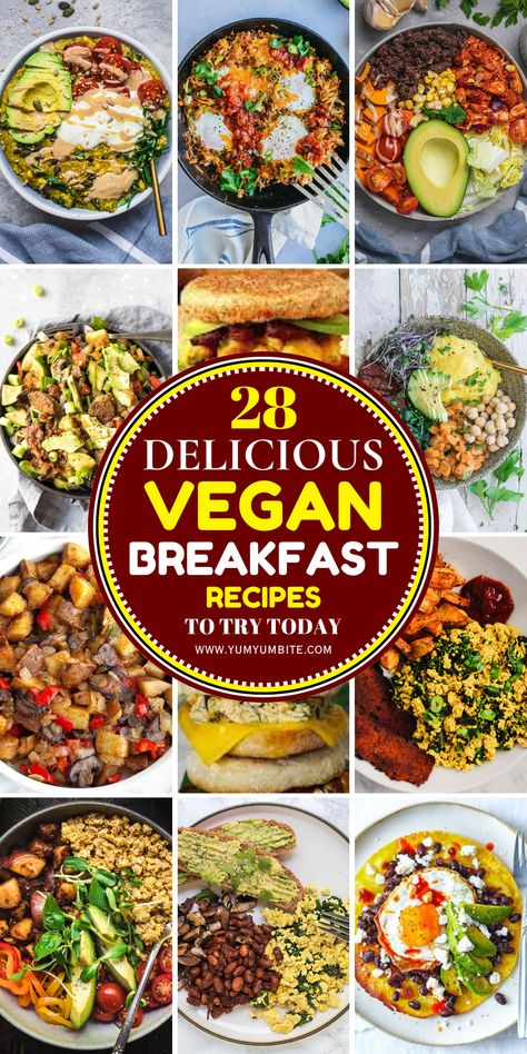 Are you in search of wholesome, delicious, and satisfying breakfast options that are completely vegan? With a variety of flavors, textures, and nutrient-packed ingredients, vegan breakfasts can be just as indulgent and fulfilling as any traditional ones. Whether you're a seasoned vegan or simply looking to try plant-based options, this collection of 28+ vegan breakfast recipes will transform your mornings. From vibrant smoothie bowls and energy-boosting oatmeal to savory avocado toast and mouthwatering pancakes, each recipe is designed to energize you for the day ahead. Healthy Breakfast Recipes Vegan, Tofu Breakfast, Tempeh Bacon, Vegan French Toast, Vegan Breakfasts, Mango Chunks, Morning Mood, Make Breakfast, Fluffy Pancakes