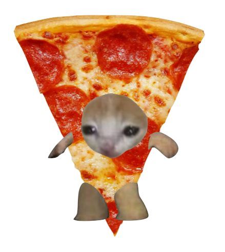 Pizza Cat, Cute Cats Photos, Silly Cats, Comedy Funny Videos, Cat Photo, Pepperoni Pizza, Cute Cat, Cute Cats, Cute Drawings