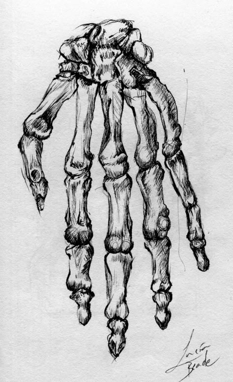 sketch hand study bones skeleton ink drawing Bones Drawing, Skeleton Hands Drawing, A Hand Drawing, Hand Bones, Bone Drawing, Concept Art Landscape, Bone Hand, Skeleton Anatomy, Otto Schmidt