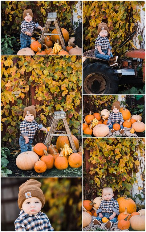 Baby Halloween Photoshoot, Baby Pumpkin Pictures, Halloween Photoshoot Ideas, Fall Baby Photos, Fall Baby Pictures, 6 Month Baby Picture Ideas, Baby Milestones Pictures, Pumpkin Pictures