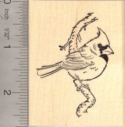 Bird Rubber Stamps, Postage Stamp Art, Cardinal Bird, Cardinal Birds, Bird On Branch, Ohio Usa, Seal Stamps, Stamp Crafts, Name Cards