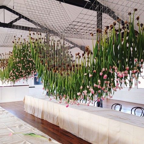 Fishing Wire Hanging Flowers, Flower Museum, Hanging Installation, Fishing Wire, Tulip Wedding, Flower Hanging, Flower Installation, Floral Chandelier, Hanging Flowers