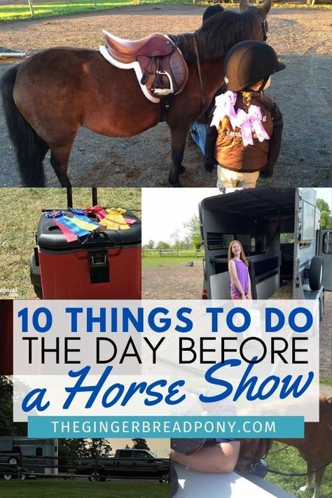 Horse show prep!! Horse Show Days are long, fun, activity-filled and can also be downright exhausting! The more prep work you do before the show, the better. We like to use the day before a horse show to get as many things packed and prepared as possible. Check out our tips for what items to cross off your list the day before a show! From packing your bags to loading the trailer and bathing your horse - here are 10 practical items to do before the show day arrives! #horses #equestrian #horseshow Horses Equestrian, Mini Horse, Horse Show, Horse Trailer, Horse Jumping, Horse Training, Show Jumping, Horse Care, Fun Activities For Kids