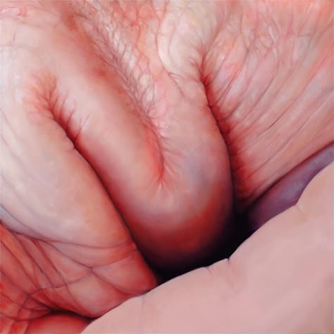 Flesh paintings by Edie Nadelhaft get under your skin | Creative Boom Distortion Painting, Out Of Place Photography, Flesh Texture, Human Form Photography, Illusion Illustration, Focus Lighting, Form Photography, Skin Folds, Dr Caligari