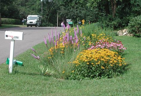 Ditch Ideas, Rain Garden Design, Drainage Ditch, Rain Gardens, Garden Line, Lawn And Landscape, Dry Creek, Rain Garden, Home Landscaping