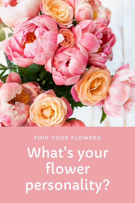 Which Flower should you buy that reflects your personality?”Do you have a particular favorite flower? Do you have a flower that just makes you smile? Which one are you the most like? Take this quiz and find out! Lucy Griffiths, Hamster Wheel, Online Course Creation, Stop Feeling, Affiliate Marketing Strategy, Profitable Online Business, Favorite Flower, Create Digital Product, Flower Arranging