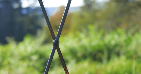 Turn old arrows into a nifty set of shooting sticks with just some zip ties and tape. These sticks are adjustable, lightweight and ideal for the spring turkey hunts. Deer Butchering, Shooting Sticks, Deer Hunting Tips, Up Arrow, Winter Survival, Hunting Life, Outdoor Game, Turkey Hunting, Hunting Trip