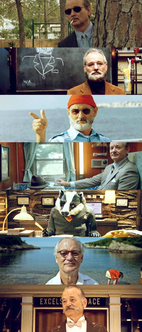 Bill Murray - Wes Anderson movies Movies Cinematography, Wes Anderson Aesthetic, Wes Anderson Style, Steve Zissou, Wes Anderson Movies, Zombie Land, Wes Anderson Films, John Hughes, Inspirational Movies