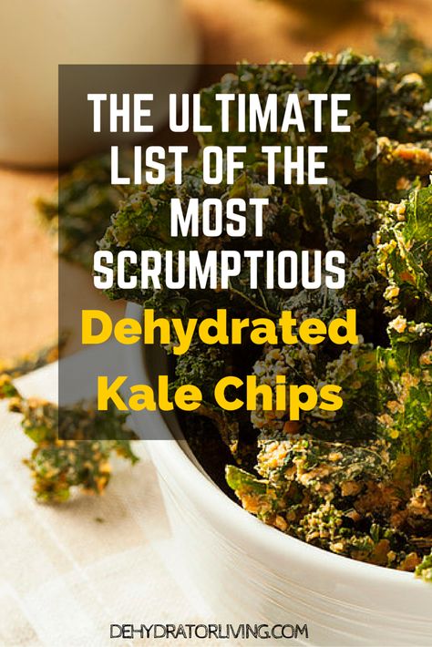 Dehydrated Kale, Food Dehydrator Recipes, Dehydrated Kale Chips, Beef Food Recipes, Dehydrated Recipes, Recipes Kale, Chips Recipes, Cycling Diet, Food Dehydration