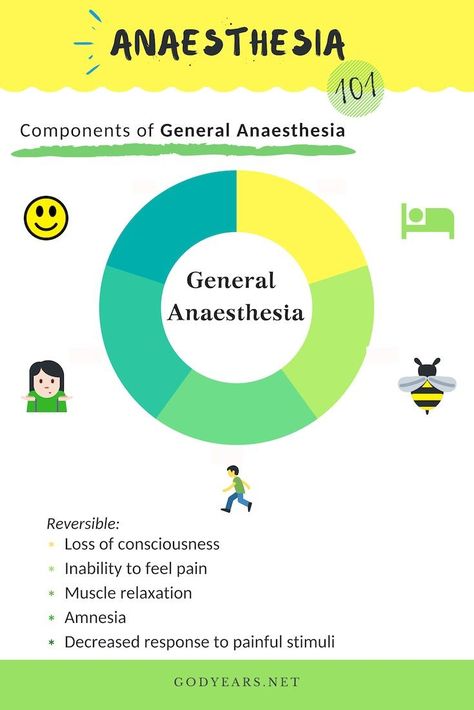 Did you know there are 5 (not just making you unconscious!) vital components in General Anaesthesia? Anesthesia School, Nurse Anesthesia, Nursing School Essential, Brain Surgeon, Nurse Anesthetist, General Anaesthesia, Medical Student Study, Pharmacology Nursing, Nursing School Studying