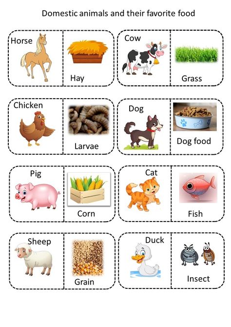 The animals with their favorite food match What Animals Eat, Animal And Their Food, Animals And Their Food Activities, Animal Food, How Animals Eat Their Food Part 2, Animals Food Worksheet, Food From Animals Worksheet, Animals And Their Food Worksheet, Farm Animal Products Worksheet