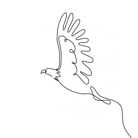 Fineline Eagle Tattoo, On Eagles Wings Tattoo, Eagle Doodle, Drawing Eagle, Eagle Outline, Small Eagle Tattoo, Animal Line Drawings, Eagle Drawing, Minimalism Design