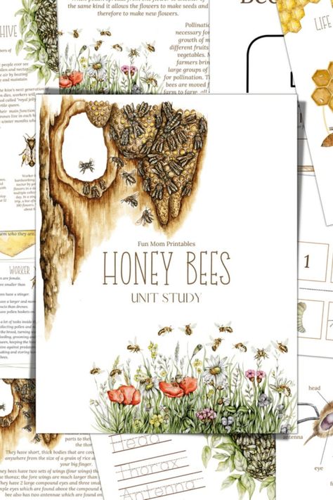 Honey Bees and Beekeeping Study Unit, Life Cycle, Anatomy, Nature Study, Science, Handwriting, Homeschool