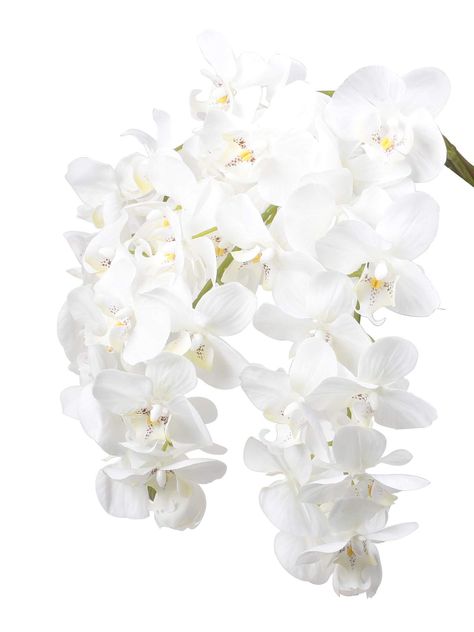 Ivalue 28" Artificial Orchid Flower Stem Plants Pack of 4 Real Touch White Simulation Butterfly Phalaenopsis Flowers for Home Wedding Party Decoration (4, White Orchid) Orchid Leaves, Flowers For Home, Home Wedding Party, Silk Orchids, Butterfly Plants, Diy Arrangements, Artificial Orchids, Orchid Arrangements, Flower Stem