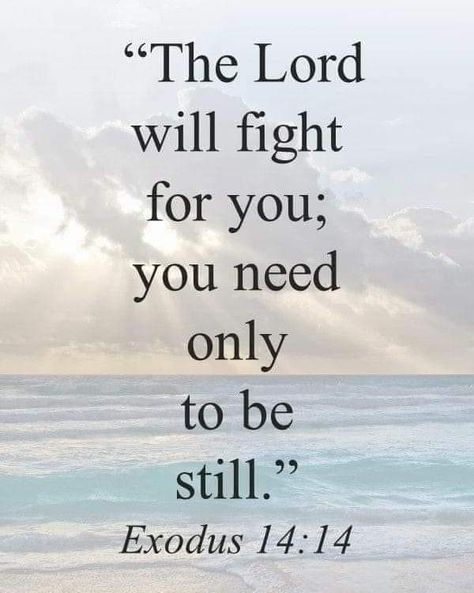 God And Faith, Bible Verse For Worry, Do Not Fear Bible Quotes, Healing Scriptures, A Course In Miracles, Trusting God, God And Jesus, Do Not Worry, Inspirational Bible Quotes