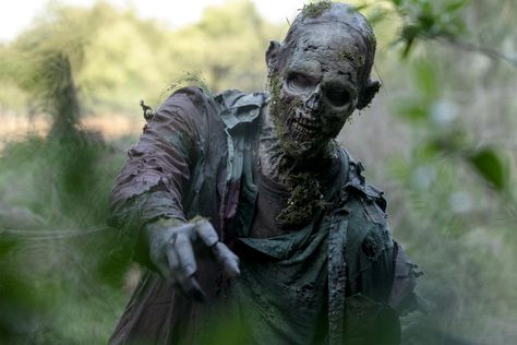 'The Walking Dead' to air 49-hour zombie onslaught Walker Twd, Walker The Walking Dead, The Walking Dead Finale, Walking Dead Costumes, Zombie Drawings, Walking Dead Zombies, Fall Tv, Zombie Walk, Dead Zombie