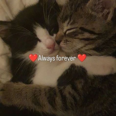 U & me Always forever ❤️ Im Always Here For U, I Miss My Girlfriend, Me And U, Us Forever, Always Forever, U & I, Love U Forever, Always And Forever, Loving U