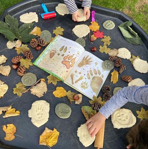 Yellow Door, Early Years Educational Resources on Instagram: "We absolutely love this inviting activity that encourages children to embark on a woodland animal adventure. The collection of engaging woodland footprints is an excellent introduction to the wonders of the forest! Children can document their discoveries by creating rubbings, leaving impressions in playdough, and diving deeper into their knowledge about each animal. Posted @withregram • @secretlittleexplorers W O O D L A N D F O O Eyfs Activities, Playdough Activities, Yellow Door, Yellow Doors, Nature Play, D F, Play Dough, Woodland Animal, Early Years