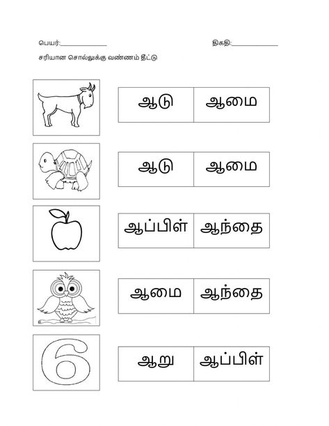 Tamil letters interactive and downloadable worksheet. You can do the exercises online or download the worksheet as pdf. Worksheet For Ukg Tamil, Ukg Tamil Worksheet, Tamil Work Sheet For Kg, Tamil Worksheets For Kids, Tamil Worksheets For Kindergarten, Tamil Letters Worksheets, Tamil Activities, Tamil Worksheet, One Letter Words