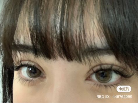 Manga Eye Makeup, Lashes Claim, Manga Lashes Makeup, Eye Claim, Asian Lashes, Manga Eyelashes, Korean Makeup Trends, Doll Lashes, Natural Fake Eyelashes