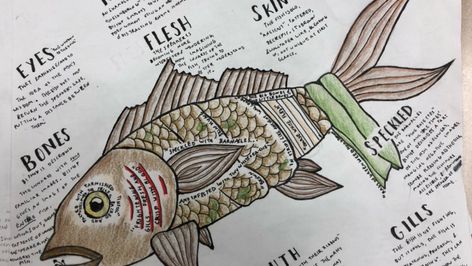 Literature Drawing, Elizabeth Bishop, American Literature, The Fish, Literature, Fish