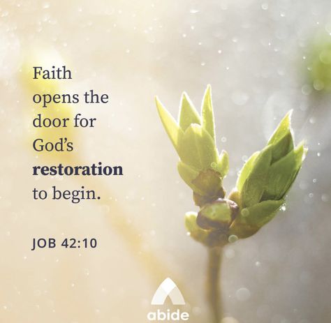 Job 42 10, Spiritual Growth Quotes, Bible Sayings, Christians Quotes, Spiritual Strength, Beautiful Verses, Bible Verse Pictures, Adorable Quotes, Devotional Reading