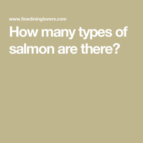 How many types of salmon are there? Salmon Species, Chum Salmon, Michelin Chef, Pacific Salmon, Salmon Farming, Prawn Cocktail, King Salmon, Sockeye Salmon, Atlantic Salmon