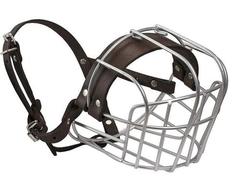 Metal Wire Basket, Braces Girls, Dog Mask, Dog Muzzle, Pet Spaces, Dog Basket, Puppy Play, Dog Diapers, Dog Agility