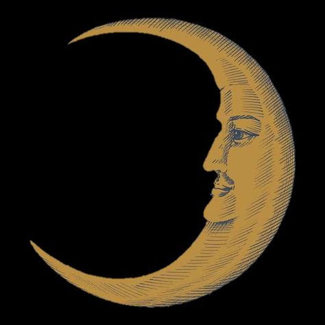 #Moon #mystic #tarot #witch #witchcraft #fig #stickers Tarot Widget, Sun Widget, Sun And Moon Pfp, Sun And Moon Matching Pfp, Matching Widgets, Astro Icons, Graphic Posters, Yellow Moon, Couple Things