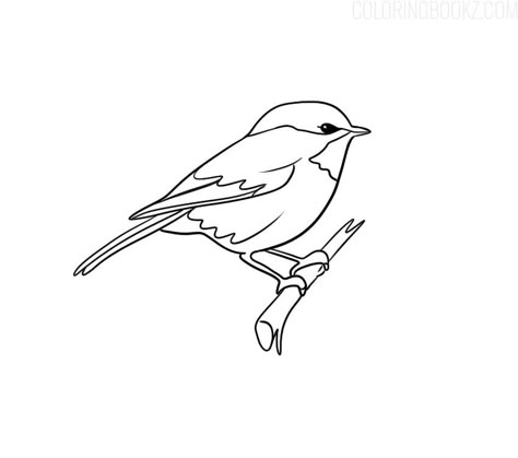 Sparrow Tattoo Outline, Bird Line Tattoo, Small Bird Drawing, Sparrow Drawing Simple, One Line Sparrow Tattoo, Sparrow Line Tattoo, Bird Line Art, Chickadee Drawing Simple, Sparrow Tattoo Line Work