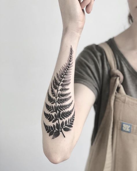 Camping Tattoo, Fern Tattoo, Bone Tattoos, Doodle Tattoo, Botanical Tattoo, Tattoo Arm, Fern Leaf, Knee Tattoo, Dot Work Tattoo