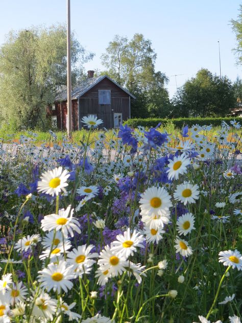 Swedish Cottage, Paint Flowers, Wooden House, Summer Dream, Country Life, Farm Life, Summer House, Summer Aesthetic, Land Scape