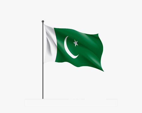 Jeans Pattern Sewing, Pakistan Flag Images, Lion Chest Tattoo, Flag Images, Jeans Pattern, Pakistan Independence, Pakistan Flag, Pakistan Independence Day, Friendship Photos