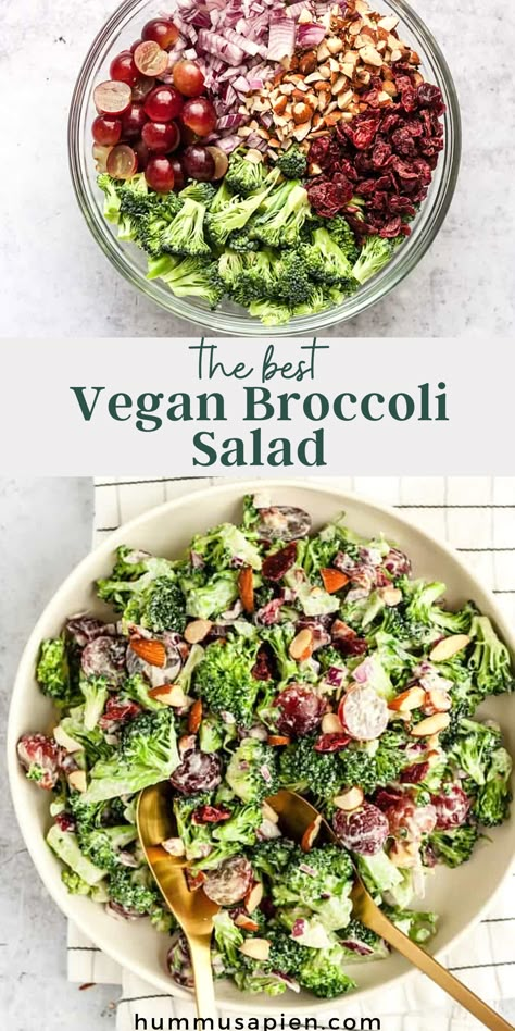 Raw Vegan Side Dishes, Raw Salad Recipes Vegan, Vegan Salad Recipes Easy, Vegan Gluten Free Salad Recipes, Vegan Broccoli Salad Recipe, Vegan Veggie Side Dishes, Vegan Cold Salad, Broccoli Salad Vegetarian, Easy Vegan Sides