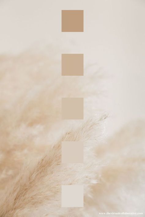 Minimal Colour Palette, Champagne Color Palette, Colour Palette Inspiration, Neutral Vibes, Nude Color Palette, Interior Design Minimalist, Beige Color Palette, Gold Color Palettes, Gold Color Scheme