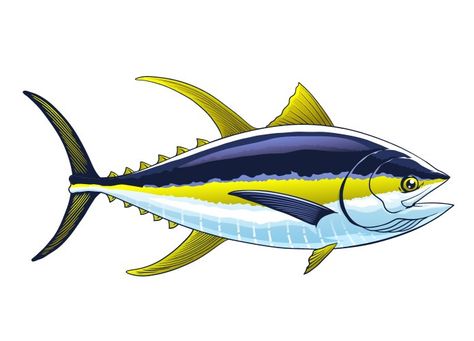 Yellowfin tuna fish Royalty Free Vector Image - VectorStock Sea Fish Illustration, Tuna Illustration, Indian Animals, Yellowfin Tuna, Fish Vector, Tuna Fish, Fish Illustration, Fish Drawings, Animal Patterns