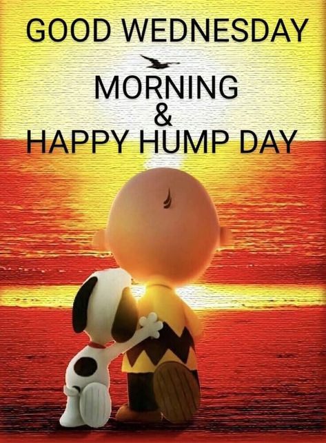 Good Morning Snoopy, Good Wednesday, Wednesday Morning, Peanuts Gang, Hump Day, Good Morning, Peanut, Snoopy