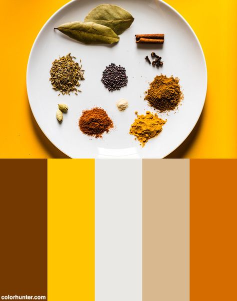 Indian Spices Color Scheme from colorhunter.com Indian Colors, Mango Color, Indian Color Palette Inspiration, Festive Colour Palette Indian, Indian Food Color Palette, Spices Color Palette, Thai Food Color Palette, Food Colour Palette, Indian Color Palette