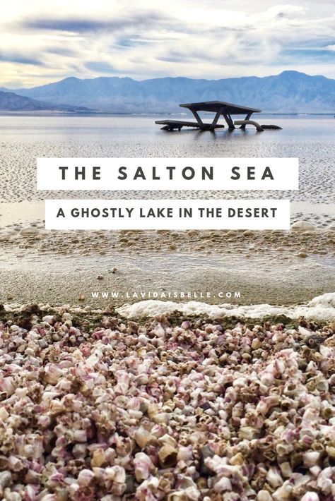 Reasons to Visit The Salton Sea: A Ghostly Lake in the Southern California Desert. A cool road trip idea if you are in California! Salton Sea California, Salton Sea, California Desert, Exploring The World, World One, Part Time Jobs, San Diego California, Travel Bugs, In The Desert