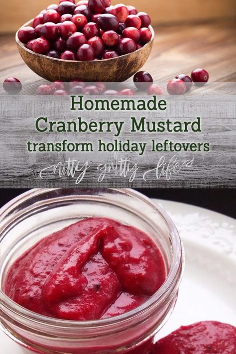 Cranberry Mayonnaise Recipe, Pioneer Woman Cranberry, Cranberry Dishes, Mustard Recipes, Cranberry Mustard, Honey Mustard Recipes, Homemade Mustard, The Chunky Chef, Orange And Cinnamon