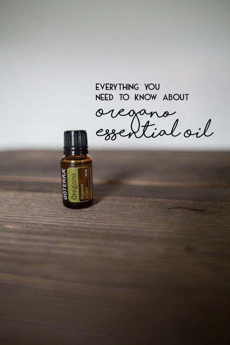 Impressive Essential Oil Helpful Strategies For essential oil perfume diy How To Make Homemade Perfume, Doterra Oregano, Perfume Diy, Oregano Oil Benefits, Origanum Vulgare, Doterra Recipes, Homemade Perfume, Oregano Essential Oil, Essential Oils 101