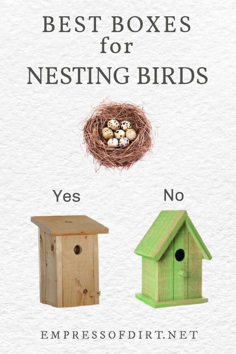 Forget letting birds nest in cute but unsafe birdhouses! If you really want to help wild birds, provide proper nesting boxes made for specific species and do what you can to prevent birds from using other hazardous nesting locations. Unique Bird Houses Diy Birdhouse Designs, Finch Bird House, Nesting Boxes Diy, Teapot Birdhouse, Bird House Plans Free, Bird Nesting Box, Modern Birdhouses, Homemade Bird Houses, Bird Houses Ideas Diy